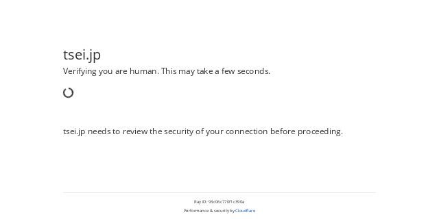 TSEI.JP